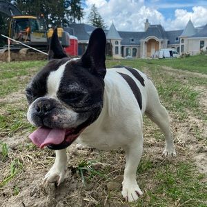 Meet your Posher, Ryan